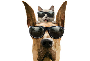 ���, ���, � �����