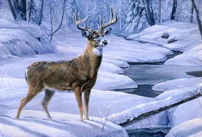 , deer, creek, Laura mark finberg, winter, animal, snow, november snow, painting, forest