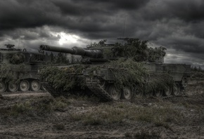 leopard2, , , 