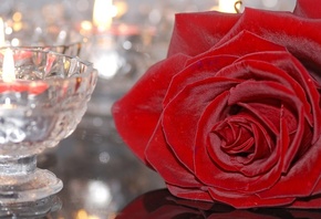 роза, подсвечник, свеча, стекло, бордовая, Цветок