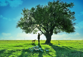 , landscape, Dog, teen, , clouds, nature, , tree, sky, girl,  ...