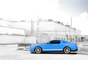 gt500, shelby, , , blue, mustang, , , Ford