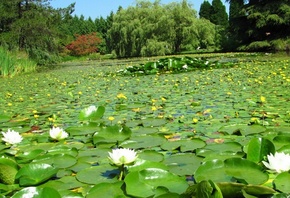 VanDusen Botanical Garden, Vancouver, 