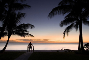 ����, ����, ������, �����