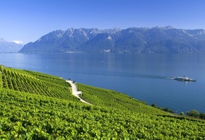 ����, ���������, �����, ����, �����