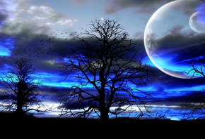 ����, �������, ��������