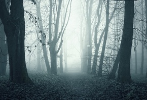 �����, �����, ���, ������