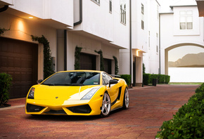 , yellow, gallardo, Lamborghini, , superleggera