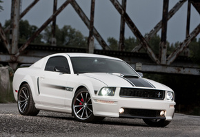 , , , white, gtcs, ,  , Ford, mustang