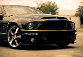 , , , muscle car, mustang, shelby, , gt500, black, Ford