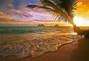 , , , Hawaii sunrise