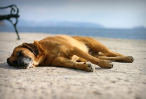 ���, ����, �����, �����, ������