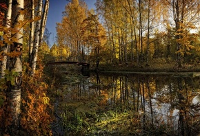 Природа, пейзаж, гозеро, осень