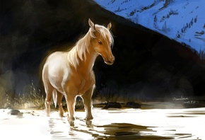 лошадь, свет, pixiv, ocean, рыжий, вода, холм, Арт, конь