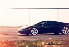 Lamborghini, , gallardo, , , black