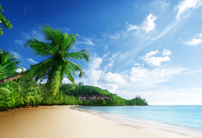 ������, �����