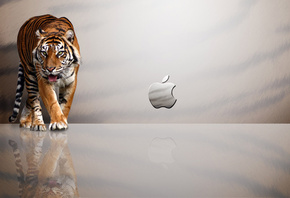 тигр, Apple, отражение