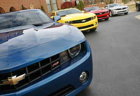 ������, ����, ��������