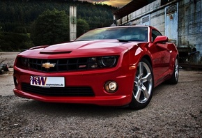 ��������, ������, ����, �������