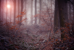 ����, �����, �����, ��������� ���, ����, �������