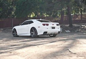 chevrolet, camaro, white, wheels, black, , , , , , , 