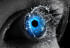 �����, �������, ����������