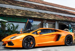 �����, ����