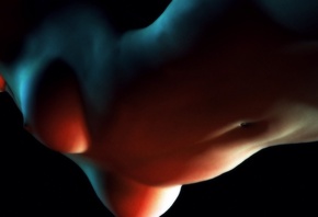 ����, �����, �����