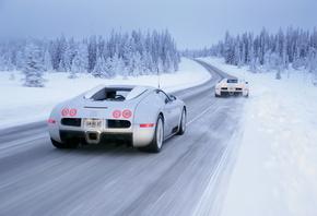 white, veyron, , winter, , drive, Bugatti