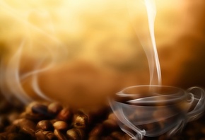 �������� ����, ����, �����