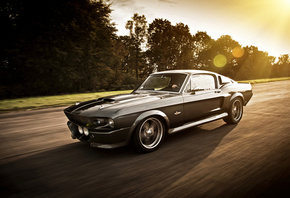 Ford, Mustang, GT500, Shelby Eleanor,  , 