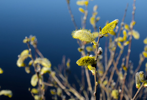 �����, ����, ������, ���, �����, �����