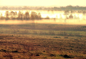 ����, ������, �������, ����, �����