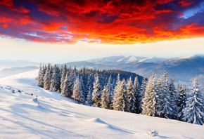 ���, ����, ����, ������, ����, ����, ������, �������