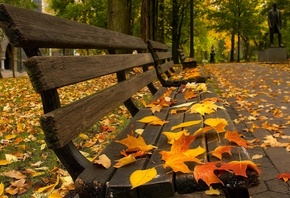 ������, �������, �����