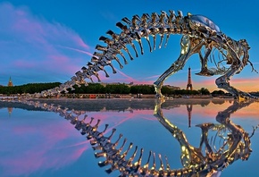 ����������, �����, ��������, ����