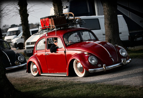 volkswagen, beetle