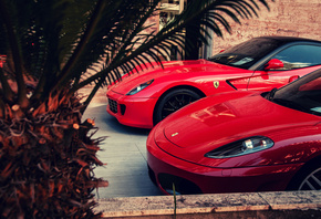 Ferrari, 599, GTO, F430, red, palm, феррари, красный