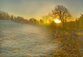 ������, ������, ������, �������, ����, ����, ����