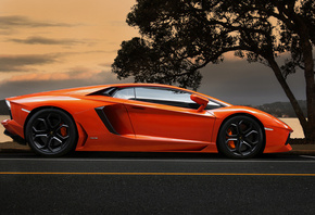 Lamborghini, aventador, lp700-4, orange, supercar, tree, sky, ,  ...
