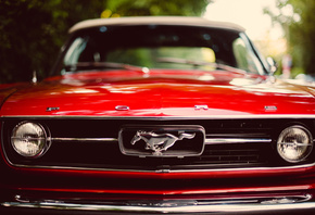 , , mustang, classic, , , red, Ford, 