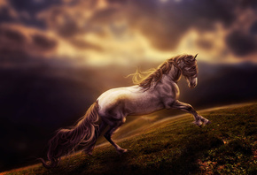 horse, run, digital art, rendering, art