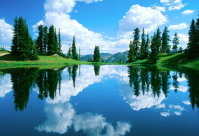 water, lake, green, trees