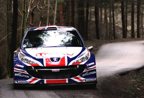 Peugeot, WRC, , , , , , 
