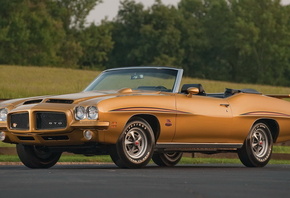 Pontiac, 1971, GTO, Forest