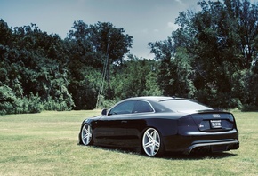�����, ������, �������, ������, s5, ����, �������, Audi