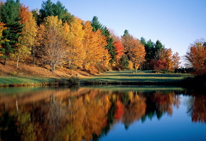 Lake, Forest, Colors