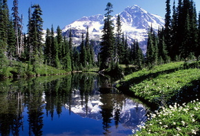 Lake, Mountain, Trees