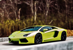 supercars, Lamborghini, , , , aventador lp700-4