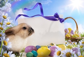 easter, , , , 